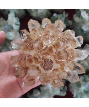Home Decoration 400-800g New Find Natural Beatiful Yellow Tibetan Quartz Crystal Cluster Specimen Stones (Size : 700-800g) - Buy Online on GoSupps.com