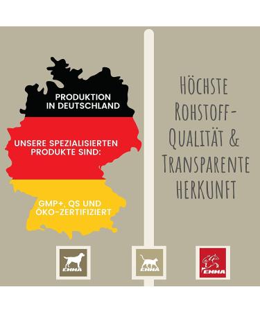 Rice Germ Oil Flax Oil 1L 30 ml for Horses Plus Vitamin E + Amino Acids Horse + Complex - Bodybuilding Horse Without Selenium Lysine Replenishing Food Supplement Horse Food - Buy Online on GoSupps.com