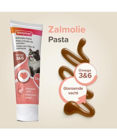 BEAPHAR Salmon oil paste for cats special coat beauty Complementary food Promotes coat shine Maintains the proper functioning of the cardiac system 100 g tube - Buy Online on GoSupps.com