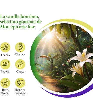 5 Vanilla BOURBON pods from Madagascar Gourmet Selection Fresh and Flexible Vanilla Bean 13-15 cm Recyclable Zip Bag Made i - Buy Online on GoSupps.com