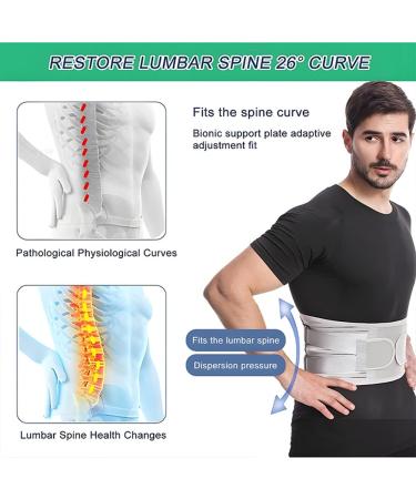 Breathable Adjustable Back Brace | Lumbar Support Belt for Sciatica & Herniated Disc - Small Gray | Pain Relief & Fitness Aid - Buy Online on GoSupps.com