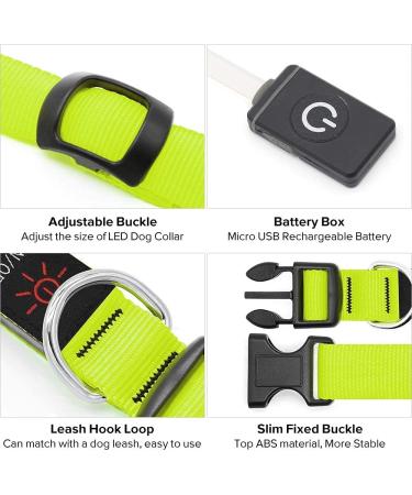 Illumifun LED Dog Collar - USB Rechargeable Glowing Pet Safety Collar - Adjustable Light Up Collar for Small, Medium, Large Dogs - Green - Large 21.7-26.0inch - Buy Online on GoSupps.com