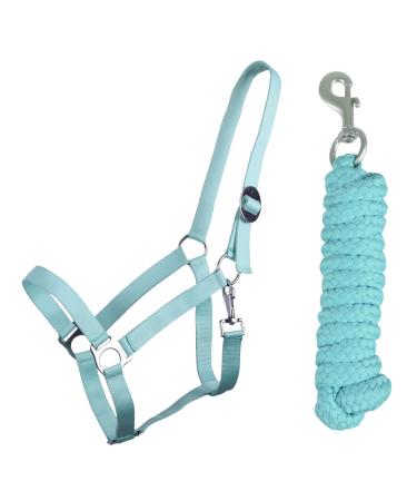QHP bv Halter Set Beginner Halter + Lead Rope Heavy Snap Hook (Shetty Ice Green) Shetty ice green