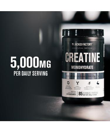 Creatine Monohydrate Powder - Creatine Supplement for Muscle Growth Increased Strength Enhanced Energy Output and Improved Athletic Performance by Jacked Factory - 85 Servings Peach Mango Peach Mango 85 Servings (Pack of 1) - Buy Online on GoSupps.com