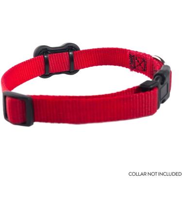 FitBark 2 Dog Activity Monitor | Health & Fitness Tracker | Waterproof & Lightweight (10g) - Buy Online on GoSupps.com