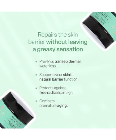 TEIA Cosmetics - Natural Squalane & Hyaluronic Acid Moisturizing Cream | Vegan Cruelty-Free Non-Toxic for All Skin Types - Buy Online on GoSupps.com