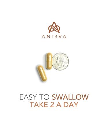 2-Pack Acne Pills with Zinc for Adults Acne Pill for Hormonal Acne Zinc Pills for Acne Treatment Probiotics for Acne Zinc Supplements for Adult Acne - Anirva Clear Derm With Probiotics - Buy Online on GoSupps.com