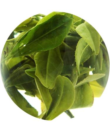 GOARTEA 1000g (35.2 Oz) Anji Bai Cha Long Jing White Dragon Well Loose Spring Leaf Chinese GREEN TEA Th Vert - Buy Online on GoSupps.com