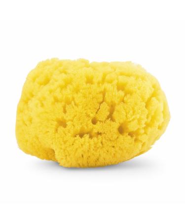 Chicco 100% Natural Sea Sponge for Babies - 0 Months - Buy Online on GoSupps.com