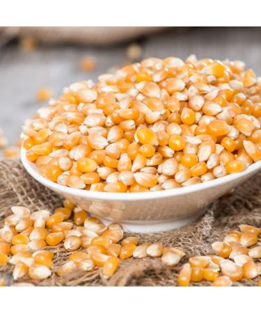 Soleilfood Popcorn Corn 5kg Corn Corn kernels Butterfly puffed corn Popcorn to make yourself finest quality GMO free