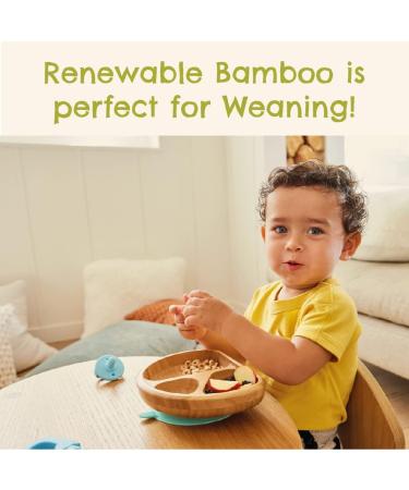 Munchkin Bambou Divided Plate - Stay Put Suction Plate for Babies & Toddlers | BPA Free Bamboo Plate for Baby Weaning | Kids' Mealtime Essential - Buy Online on GoSupps.com