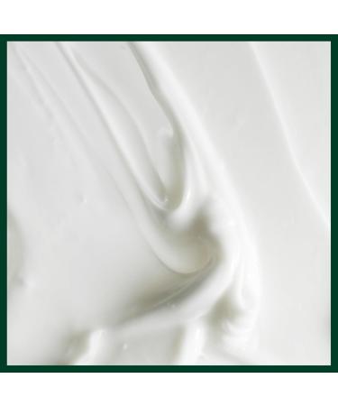 Aveda Scalp Solutions Apr s-Shampooing R g n rant | Hydrate les cheveux et le cuir chevelu | Pour tous types de cheveux | Huile de babassu et de moringa | 98% d origine naturelle* 200 ml (Lot de 1) - Buy Online on GoSupps.com