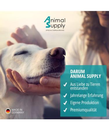 Animal Supply Ohr Milben Oil for Pets - 50ml | Effective Ear Mite Treatment for Dogs Cats & Pets with Chamomile - Soothing Relief for Itchy Ears - Buy Online on GoSupps.com