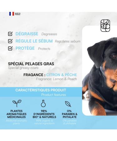 BIOGANCE - Oily hair shampoo (Fresh'n'Pure) - Buy Online on GoSupps.com