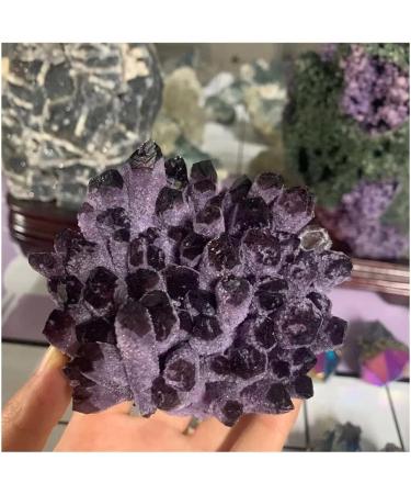 Crystal Natural Crystal Amethyst Clusters of raw Stone specimens for Home Draw yuebang Stone Mineral Specimen (Color : Purple Size : 900-1000g) 900-1000g Purple - Buy Online on GoSupps.com