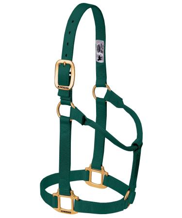 WEAVER Leather Non-adjustable halter hunter green Yearling