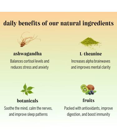 Moment Botanical Drink - Featured on Shark Tank | STILL Combo Variety with Adaptogens, Nootropics, L-Theanine, and Ashwagandha for Focus & Stress Relief | 0 Added Sugar, 0 Caffeine, Keto Friendly, Low Calorie | 11.5 Fl Oz 12-Pack - Buy Online on GoSupps.com