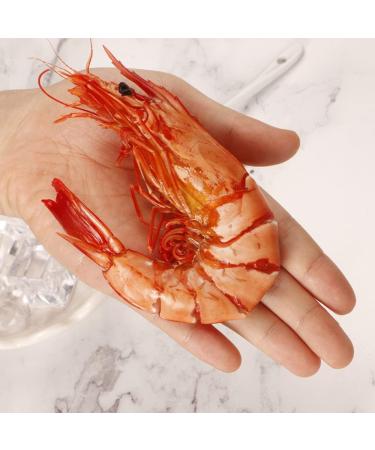 Mantis Shrimp Nine Sections Dried Shrimp Instant Grilled Shrimp Extra Large Seafood Aquatic Dried Shrimp Jiujiexia (8 oz) - Buy Online on GoSupps.com