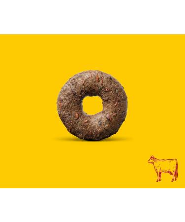 JOSERA Loopies Beef (11 x 150 g) | Dog Treat | Grain Free | Sugar Free | Low Fat | Super Premium Quality | Pack of 11 bags - Buy Online on GoSupps.com