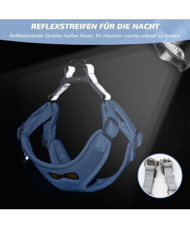 Adjustable Cat Leash Set & Outbreak-Proof Dishes for Cats and Kittens - Blue | International Shipping Available - Buy Online on GoSupps.com