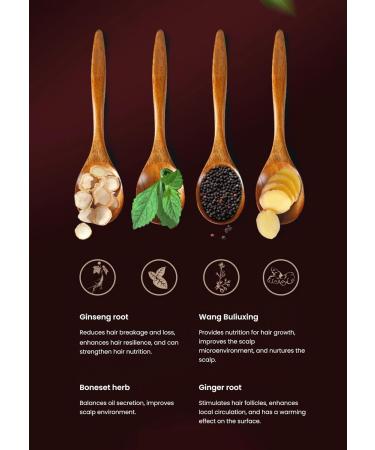 Ginger Shampoo 360g - Herb Shampoo for Hair Loss Promotes Growth for All Hair Types | 101 - Buy Online on GoSupps.com