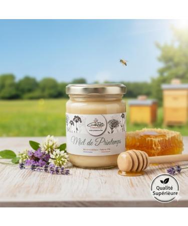 Miel Girard Miel de fleurs de printemps cr meux Go t Doux Id al sur des tartines Pot de 250g - Buy Online on GoSupps.com