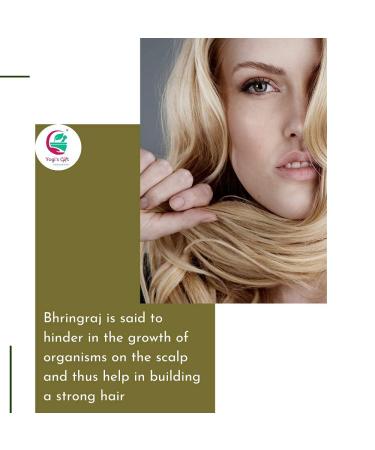 Organic Bhringraj Powder for Hair Growth - 250g | Ayurvedic Eclipta Alba | Yogi's Poison - Herbal Hair Follicle Booster - Buy Online on GoSupps.com