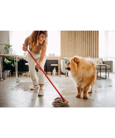 Frosch All-Purpose Cleaner 6 Pack - Powerful Eco-Friendly Household Cleaner in Reusable Spray Bottles (500 ml Each) - Fast International Shipping - Buy Online on GoSupps.com