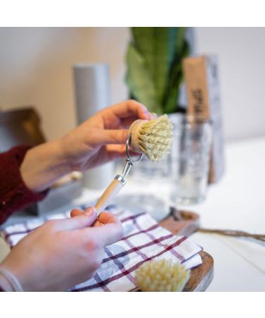 Chinchilla Rinse Brush - Eco-Friendly Beech Wood Kitchen Brush with Natural Fiber Bristles | Includes 3 Replaceable Heads | Plastic-Free & Durable - Buy Online on GoSupps.com