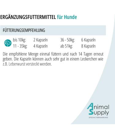 Animal Supply Worm Herb Capsules for Dogs - 50 Natural Tablets - Herbal Worm Treatment & Worming Agent - Buy Online on GoSupps.com