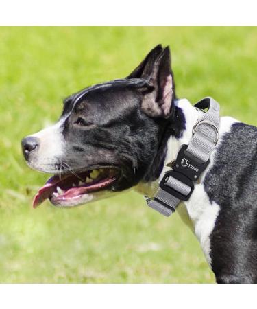 Tspro Premium Adjustable Dog Collar with Handle - Heavy-Duty Metal Buckle for Small to Extra Large Dogs (Size M 37-46cm) - Silver - Buy Online on GoSupps.com