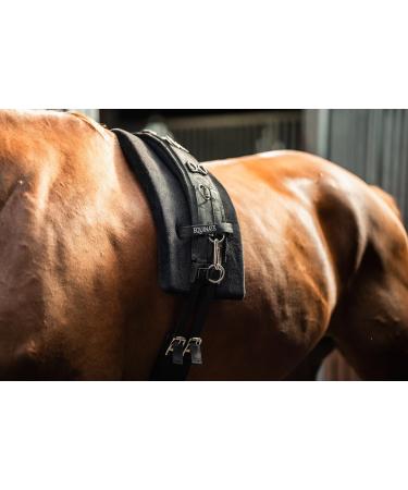 Equinate Conway Lunging Girth with Memory Foam for Thoroughbreds - 17 Side Reins & 2 Snap Hooks - Adjustable Waist Circumference | International Shipping Available - Buy Online on GoSupps.com