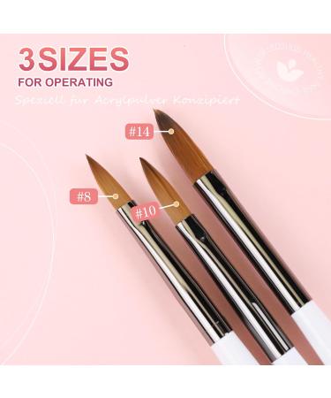 3PCS Kolinsky Acrylic Nail Brushes - Size 8/10/14 Professional Nail Art Brushes for Acrylic Nails - Ideal for Acrylic Powder - Home and Salon Use - B-Color - Buy Online on GoSupps.com