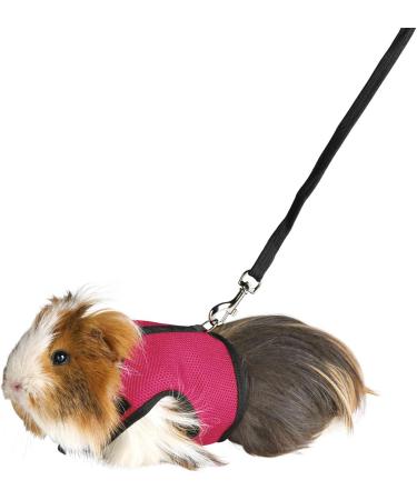 Trixie Soft Harness with Leash for Guinea Pigs Nylon 18-25 cm 1.20 m | International Shipping - Buy Online on GoSupps.com