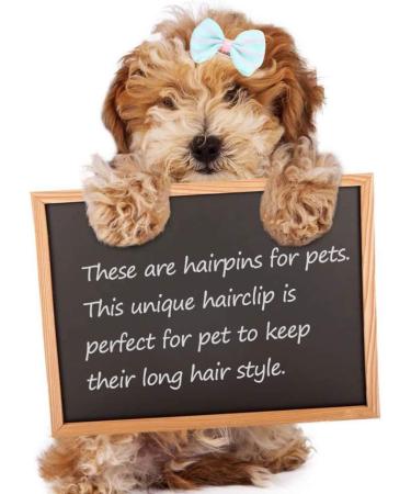 Buy Balacoo 10-Piece Animal Hair Loops with Crocodile Terminals - Bowknot Hair Clips for Small Dogs Cats and Kittens | Pet Hair Care Accessories in Random Colors - Buy Online on GoSupps.com