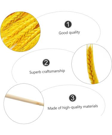 Abaodam 100pcs Dried Wheat Ears Bouquet Dried Rabbit Tail Grass Dried Floral Dried Wheat Stalk Picks Decked Wedding Ceremony Decorations Desktop Wheat Ear Rural Dried Flowers. Real Flower Yellow 52X10CM - Buy Online on GoSupps.com