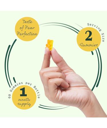 Mullein Gummies Mullein Gummies for Lungs Mullein Leaf Extract Mullein Leaf Herb Extract Lung Health and Sinus Relief (60pcs/1bag) - Buy Online on GoSupps.com