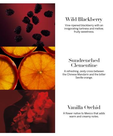 Victoria's Secret Very Sexy Eau de Parfum Notes of Vanilla Orchid Sun-Drenched Clementine & Wild Blackberry Perfumes for Women (1.7 oz) - Buy Online on GoSupps.com