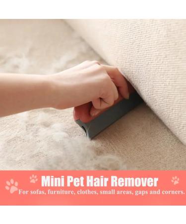 Adjustable Long Handle Carpet Rake Pet Hair Remover - Fur & Lint Removal Brush for Couch, Rugs, and Clothes - Buy Online on GoSupps.com