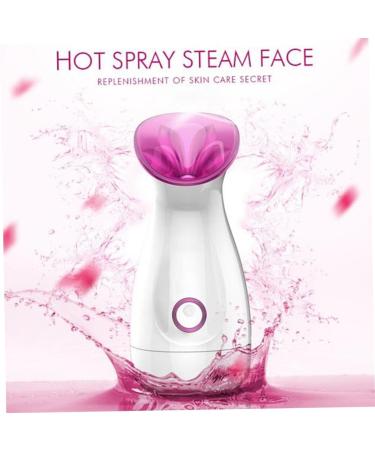 Healeved 2pcs Facial Care Steamer Handy Mist Face Steamer Sprayer Facial Spa Steamer Facial Steamer - Buy Online on GoSupps.com