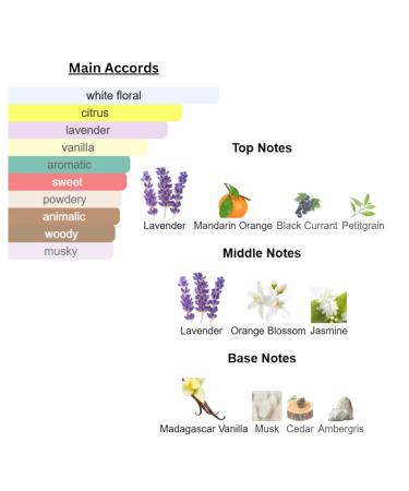 Perfume & Cologne Oil for Women & Men - SPRAY OIL - Designer Type - Our Version Of (Libre - her) - Buy Online on GoSupps.com