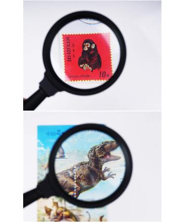 Round Glass Portable Handheld Handle 10X HD Optical Glass Lens for Seniors Low Vision Books Pages Magazines Newspapers Maps 65mm Black Made in China - Buy Online on GoSupps.com