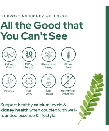 STONE BREAKER - Chanca Piedra by Plant of Life | Powerful Cleanse + Detox | Kidney Gall Bladder Urinary Tract | 60 Capsules | 30 Day Supply - Buy Online on GoSupps.com