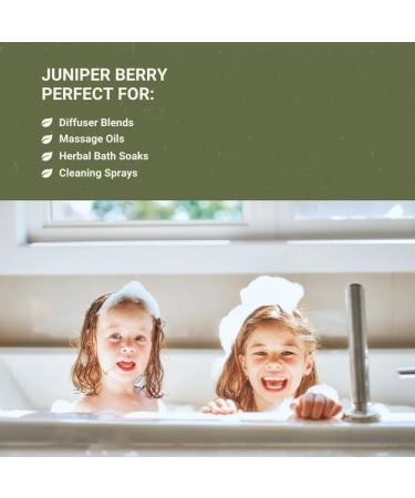 Juniper Berry Essential Oil with Cleansing & Uplifting Properties 100% Pure Therapeutic Grade Juniper Essential Oil (Aceite Esencial de Enebro) for Aromatherapy & Relaxation 5mL Juniper Berry 0.17 Fl Oz (Pack of 1) - Buy Online on GoSupps.com