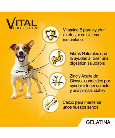 PEDIGREE Pouch Chicken & Lamb in Jelly - Wet Food for Adult Dogs - 13 multipacks of 4x100g Bags - Buy Online on GoSupps.com