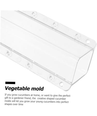 Milisten 6 Pcs Square Cucumber Molds Vegetables Fruit Avocado Tool Cucumber Shaping Mold Garden Tools Gourd - Buy Online on GoSupps.com