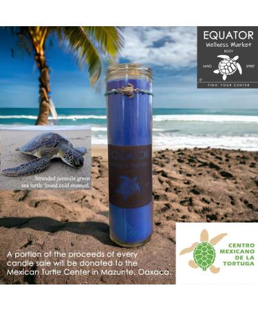 Tortuga by Equator Wellness Market - Blue Turtle Centering Candle for Meditation Yoga & Well-Being | Tropical Ambiance & Vitality Candle - Buy Online on GoSupps.com