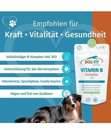 Dog Fit by Prethis - Vegan B Vitamin Complex for Dogs | Nerve Strengthening Incontinence & Nervousness Support | Large Animals (25kg+) - Buy Online on GoSupps.com