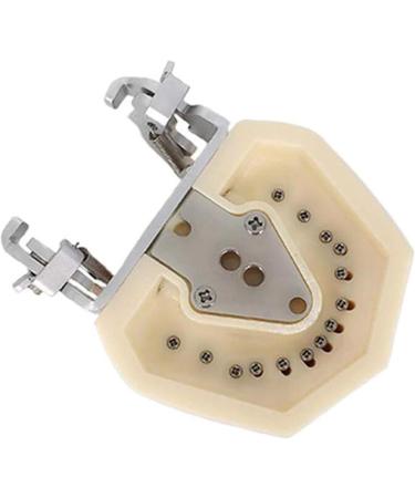 BuTkus Dental Teaching Tooth Model - Removable Implant Practice with Soft Gums & 28 Resin Teeth for International Shipping - Buy Online on GoSupps.com