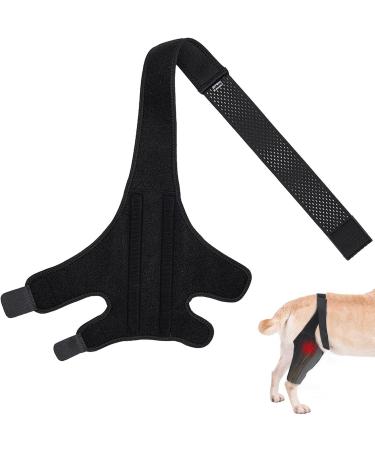 Dog Leg Brace Canine Dog Elbow Brace Leg Braces for Support Pet Knee Brace Canine Leg Brace Pet Leg Brace for Dogs - Buy Online on GoSupps.com